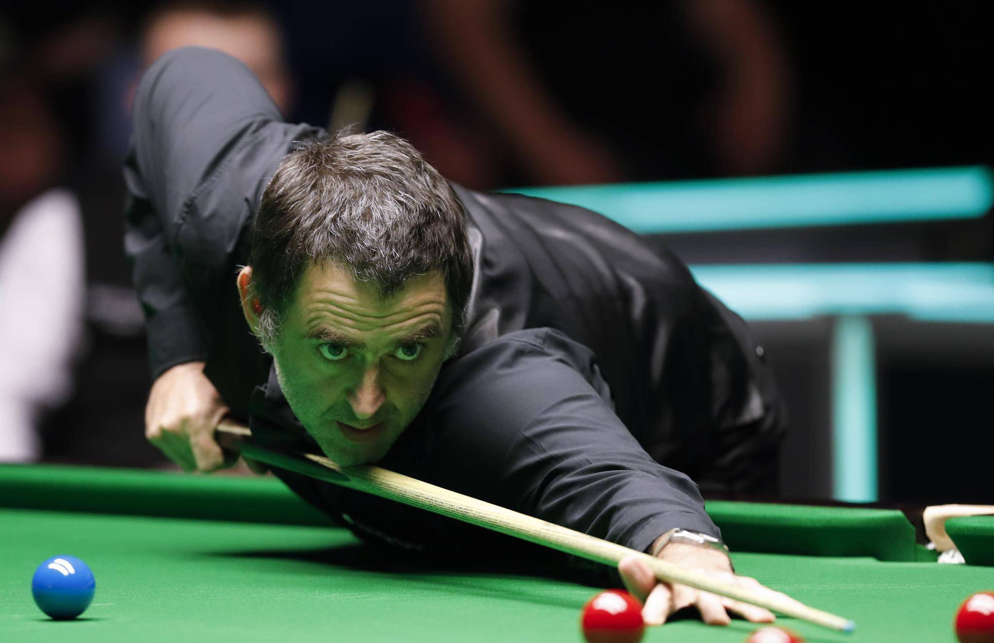 的成功案例 的成功案例